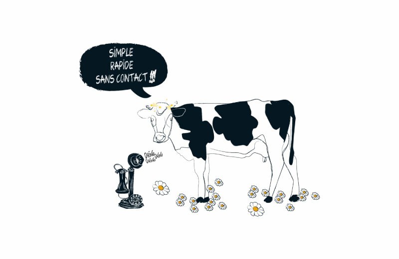 dai-communication-illustration-site-web-mr-fromage